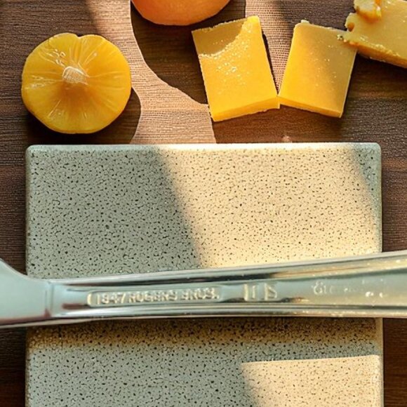 Wm Rogers 1847 Silver Plate Soft Cheese Spreader - Picture 4 of 4